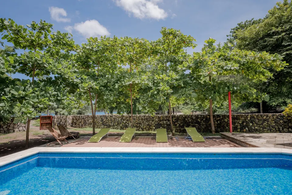 Poolside sun loungers