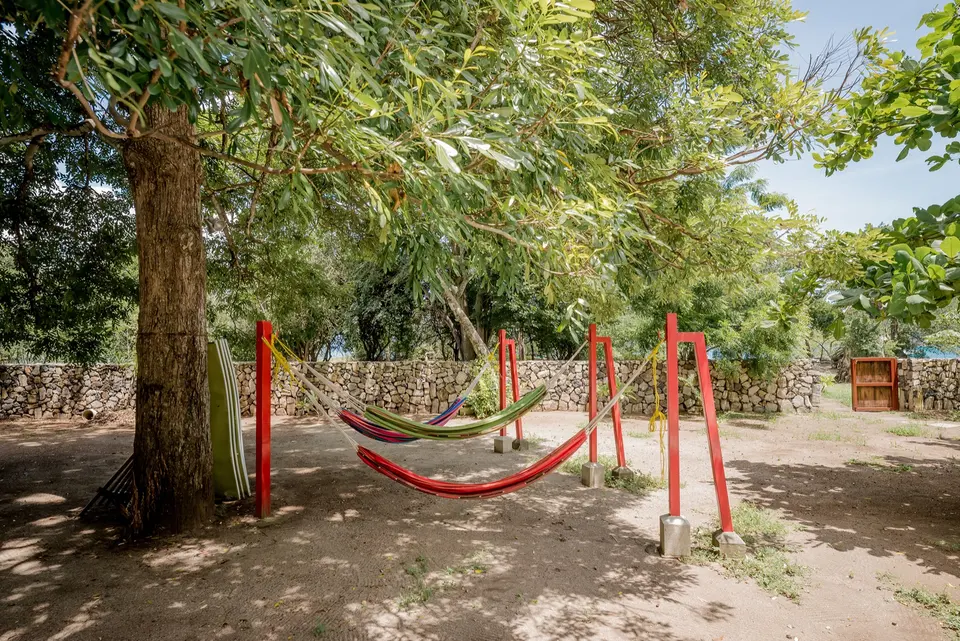 Hammocks in the garden